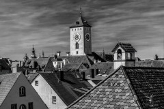 Above-the-Roofs-of-Regensburg