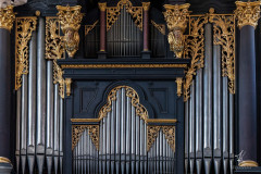 Organ-Pipes