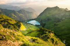 Alpenperle