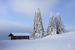 Eiswelt