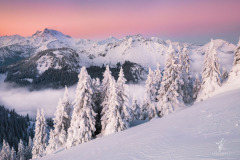 Mittwinter