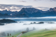 Morgennebel