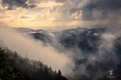 Nach-dem-Regen