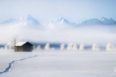 Schritte-im-Schnee