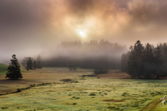 Versunken-im-Nebel