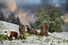 Winterpause