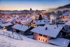 Winterstarre