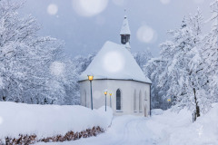 Advent-Lights