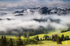 Allgau-Fog