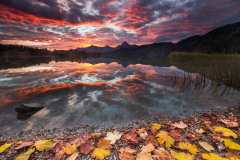 Autumn-Magic