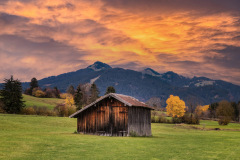 Autumn-Tones