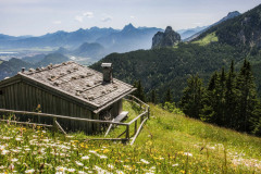 Cabin-View