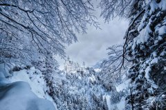 Castle-Window
