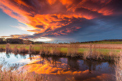 Cloud-Colors