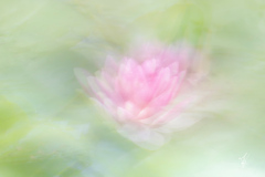 Dreamy-Picture
