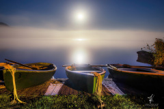 Fog-Night