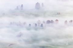 Fog-Tips