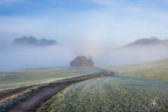 Fog-Walk