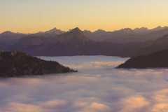 Fog-Waves