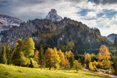 Golden-October