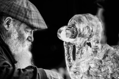 Ice-Carver