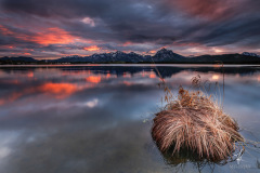 Lake-Island