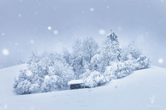 Let-it-Snow