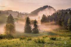 Magical-Mists
