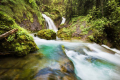 Mossy-Grotto