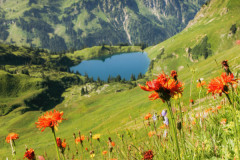 Mountain-Spring