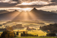 November-Light