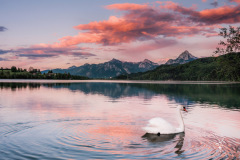 Pirouette