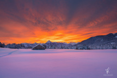 Snow-Colors