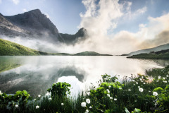 Summer-Fog