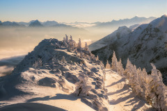 The-Beauty-of-Winter