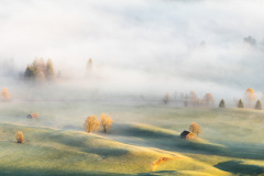 The-Golden-Light