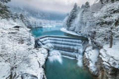 The-Winter-Green