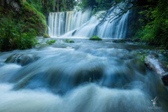 Vivid-Rapids