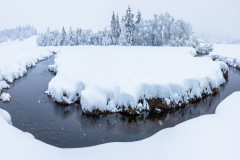 Winter-Bow