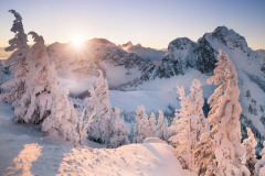 Winter-Light