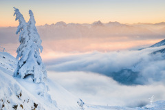 Winter-Morning