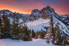 Winter-Red