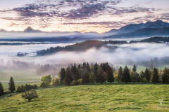 World-of-Fog