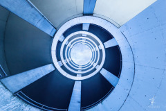 Blue-Snail