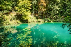The-Green-Lake