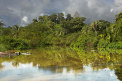 Pirate-Cove-XI