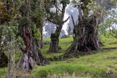 Poas-Nationalpark