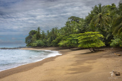 Corcovado-National-Park-VI