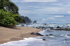 Corcovado-National-Park-VII