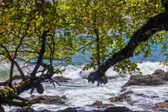 Corcovado-National-Park-VIII